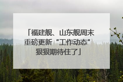 福建舰、山东舰周末重磅更新“工作动态” 狠狠期待住了