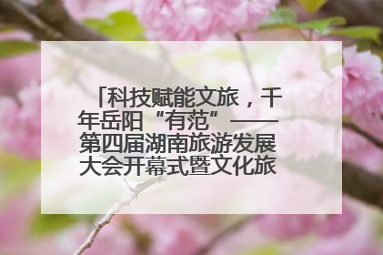科技赋能文旅，千年岳阳“有范”——第四届湖南旅游发展大会开幕式暨文化旅游推介会侧记