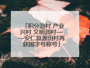 积分治村 产业兴村 文明润村——安仁县源田村再获国字号称号