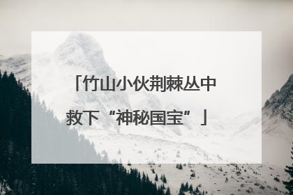 竹山小伙荆棘丛中救下“神秘国宝”