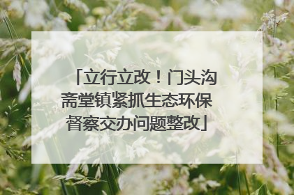 立行立改！门头沟斋堂镇紧抓生态环保督察交办问题整改