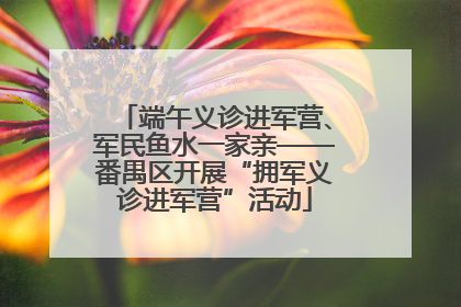 端午义诊进军营、军民鱼水一家亲——番禺区开展“拥军义诊进军营”活动