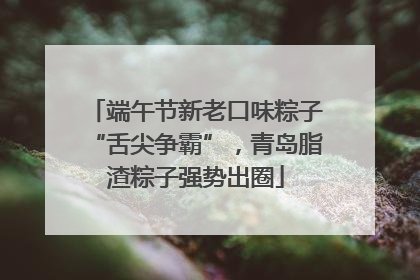 端午节新老口味粽子“舌尖争霸”，青岛脂渣粽子强势出圈