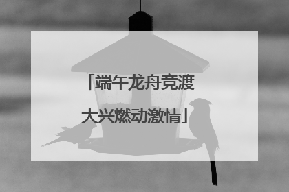 端午龙舟竞渡 大兴燃动激情