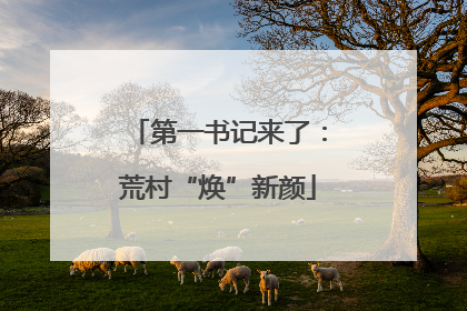 第一书记来了：荒村“焕”新颜