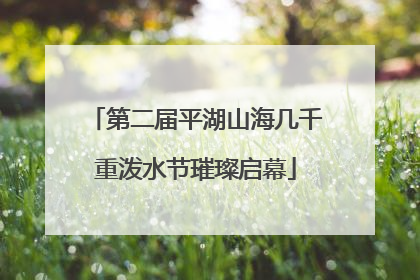 第二届平湖山海几千重泼水节璀璨启幕