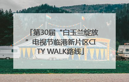 第30届“白玉兰绽放”电视节临港新片区CITY WALK路线
