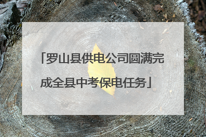 罗山县供电公司圆满完成全县中考保电任务