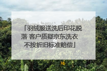 羽绒服送洗后印花脱落 客户质疑京东洗衣不按折旧标准赔偿