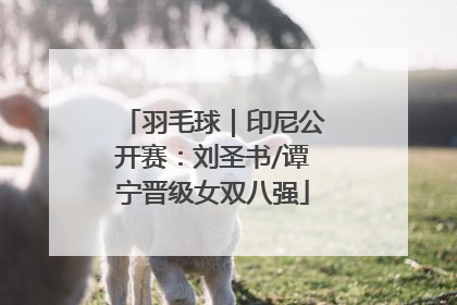 羽毛球｜印尼公开赛：刘圣书/谭宁晋级女双八强