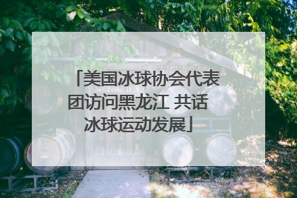 美国冰球协会代表团访问黑龙江 共话冰球运动发展