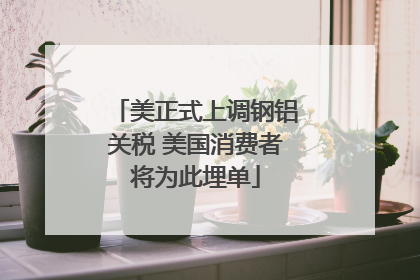 美正式上调钢铝关税 美国消费者将为此埋单