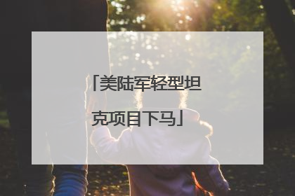 美陆军轻型坦克项目下马