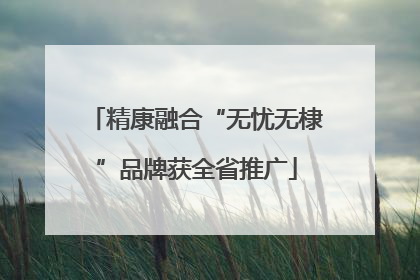 精康融合“无忧无棣”品牌获全省推广