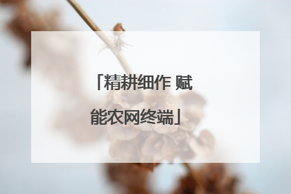 精耕细作 赋能农网终端