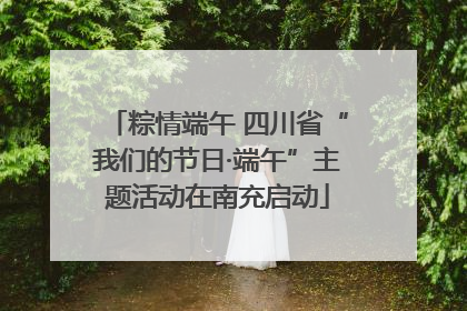 粽情端午 四川省“我们的节日·端午”主题活动在南充启动