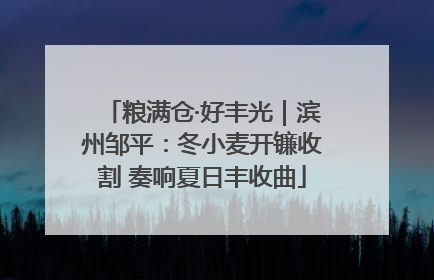 粮满仓·好丰光｜滨州邹平：冬小麦开镰收割 奏响夏日丰收曲