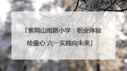 紫荆山南路小学：职业体验绘童心 六一实践向未来