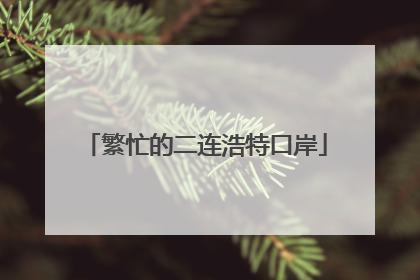 繁忙的二连浩特口岸
