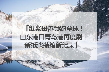 纸浆母港领跑全球！山东港口青岛港再度刷新纸浆装箱新纪录