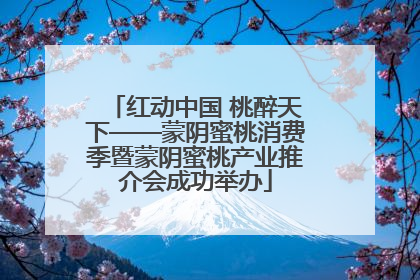 红动中国 桃醉天下——蒙阴蜜桃消费季暨蒙阴蜜桃产业推介会成功举办