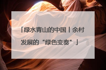 绿水青山的中国丨余村发展的“绿色变奏”