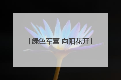 绿色军营 向阳花开