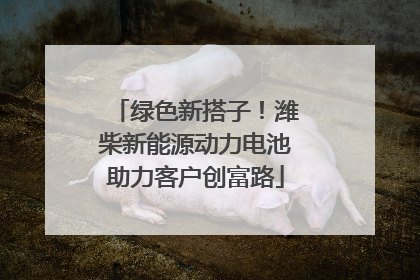 绿色新搭子！潍柴新能源动力电池助力客户创富路