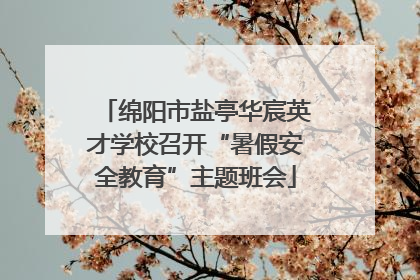 绵阳市盐亭华宸英才学校召开“暑假安全教育”主题班会