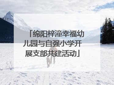 绵阳梓潼幸福幼儿园与自强小学开展支部共建活动