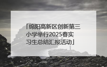绵阳高新区创新第三小学举行2025春实习生总结汇报活动