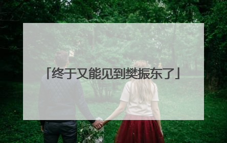 终于又能见到樊振东了