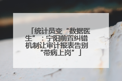 统计员变“数据医生”：宁阳前置纠错机制让审计报表告别“带病上岗”