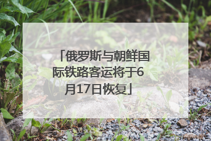 俄罗斯与朝鲜国际铁路客运将于6月17日恢复