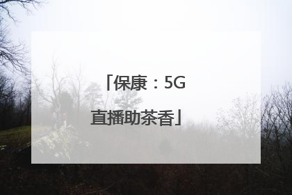 保康：5G直播助茶香