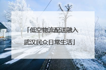 低空物流配送融入武汉民众日常生活