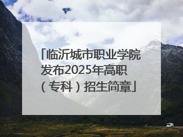 临沂城市职业学院发布2025年高职（专科）招生简章