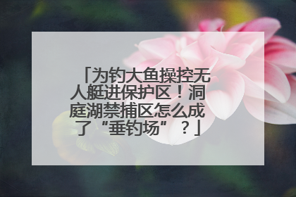为钓大鱼操控无人艇进保护区！洞庭湖禁捕区怎么成了“垂钓场”？