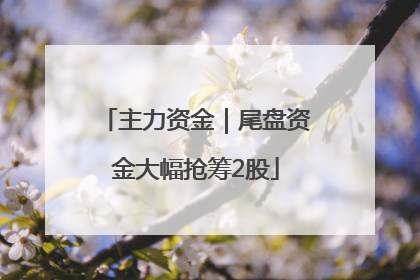 主力资金｜尾盘资金大幅抢筹2股