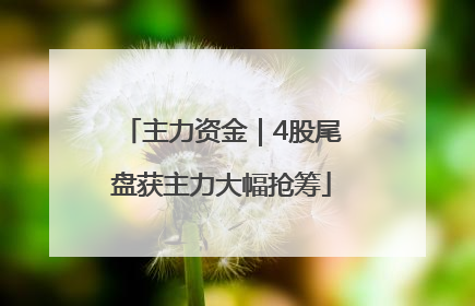 主力资金｜4股尾盘获主力大幅抢筹