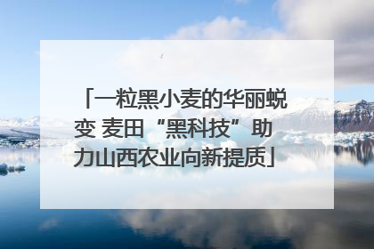 一粒黑小麦的华丽蜕变 麦田“黑科技”助力山西农业向新提质