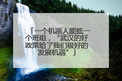 一个机器人能抵一个班组，“武汉的好政策给了我们极好的发展机遇”