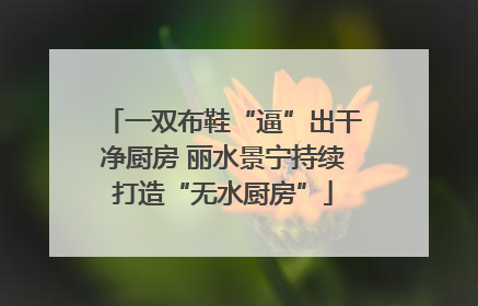 一双布鞋“逼”出干净厨房 丽水景宁持续打造“无水厨房”