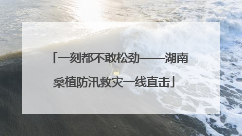 一刻都不敢松劲——湖南桑植防汛救灾一线直击