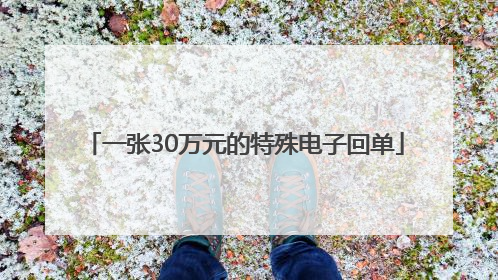 一张30万元的特殊电子回单