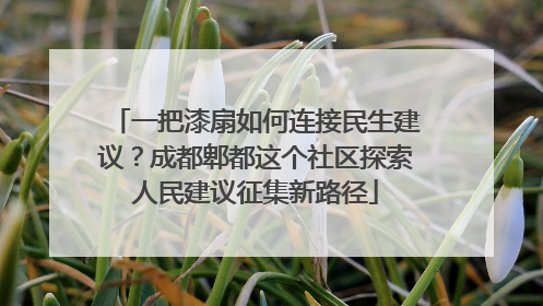 一把漆扇如何连接民生建议？成都郫都这个社区探索人民建议征集新路径