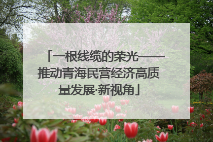 一根线缆的荣光——推动青海民营经济高质量发展·新视角