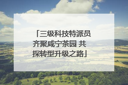三级科技特派员齐聚咸宁茶园 共探转型升级之路