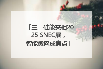 三一硅能亮相2025 SNEC展，智能微网成焦点