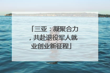 三亚：凝聚合力，共赴退役军人就业创业新征程